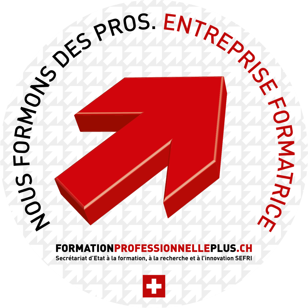 Logo Formation professionelle plus.png